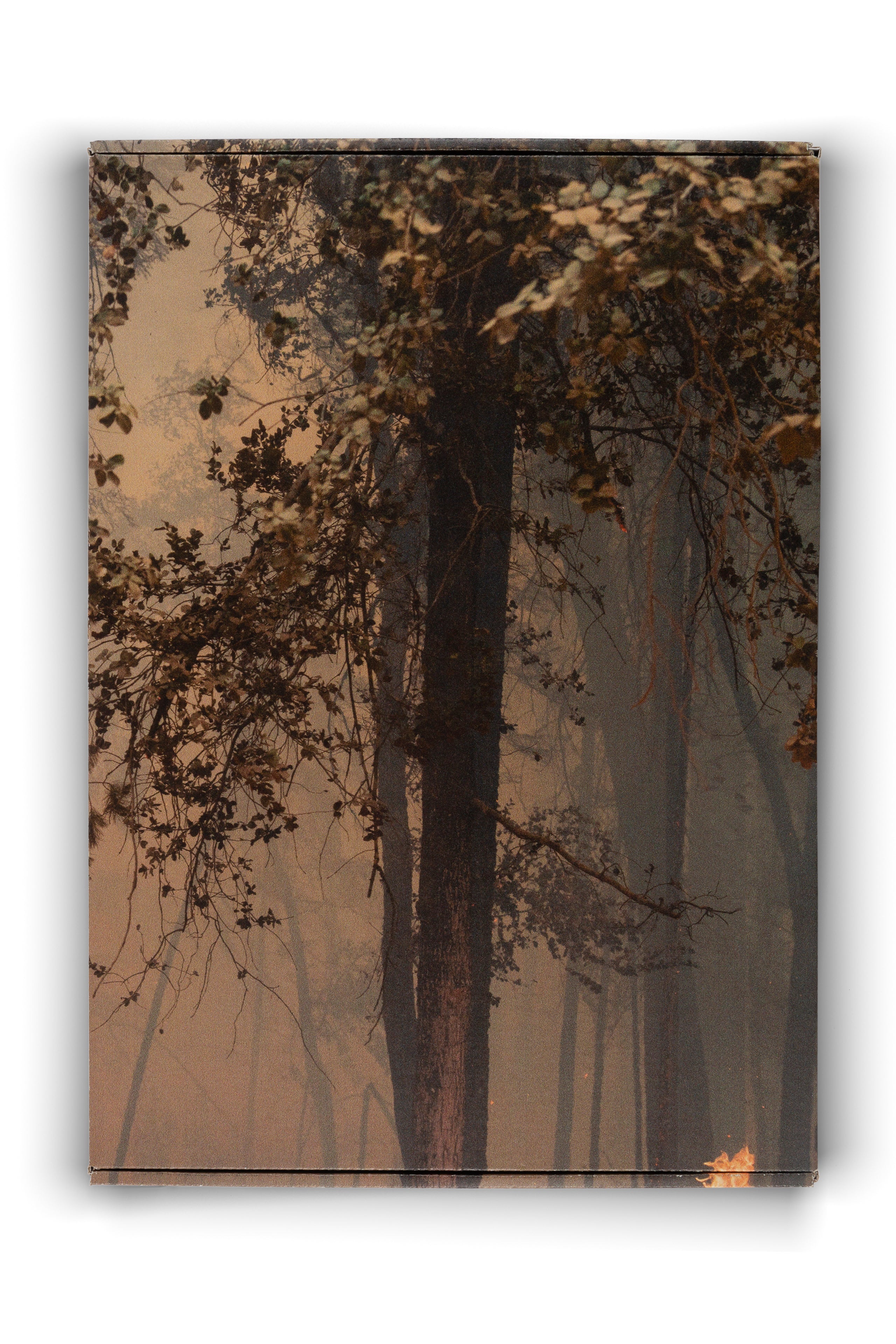 Julius von Bismarck - Feuer mit Feuer (Shirt), 2019 (L)