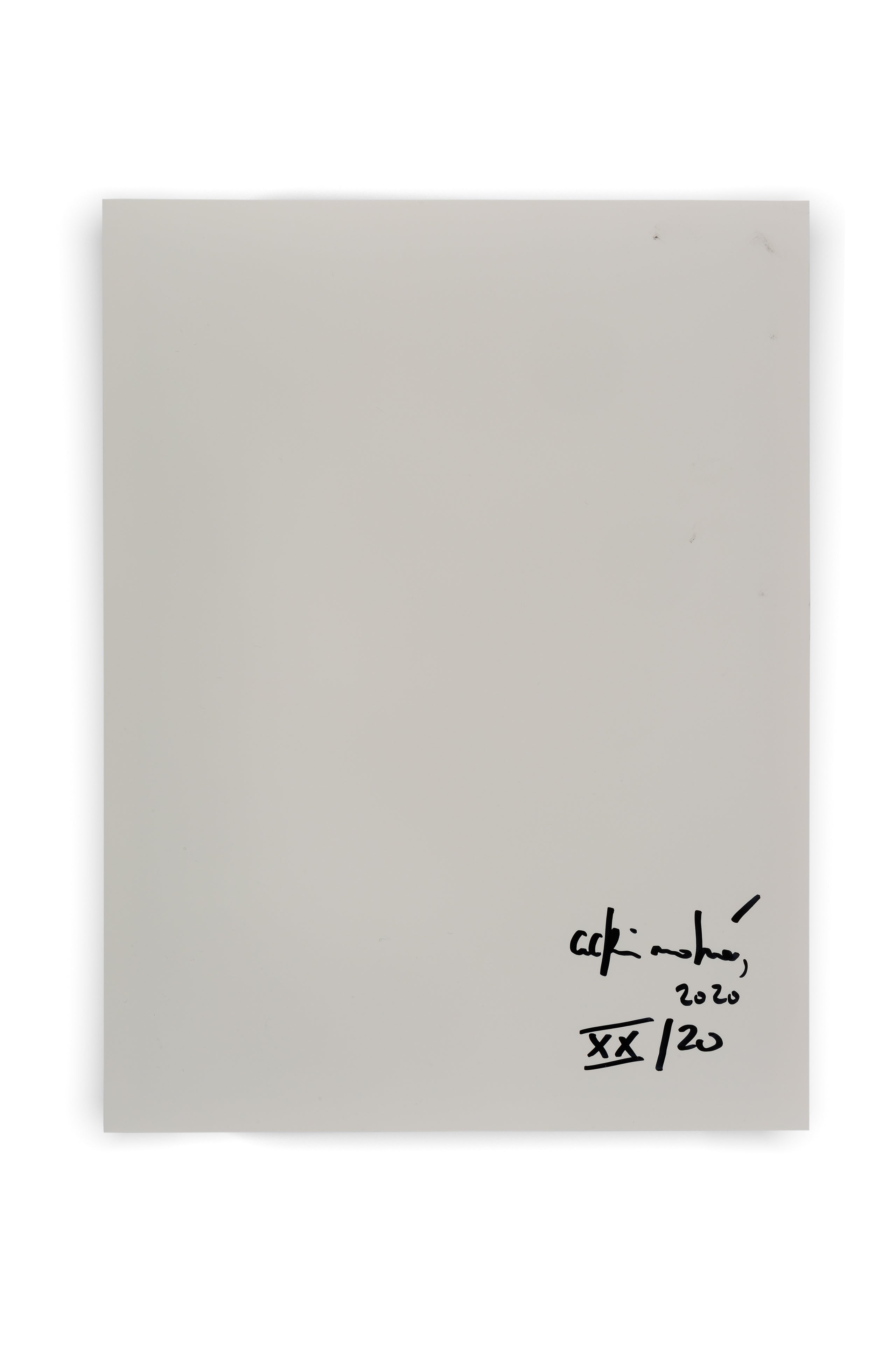 Achim Mohné - Kletterhortensie (Hydrangea petiolaris), 2018/20