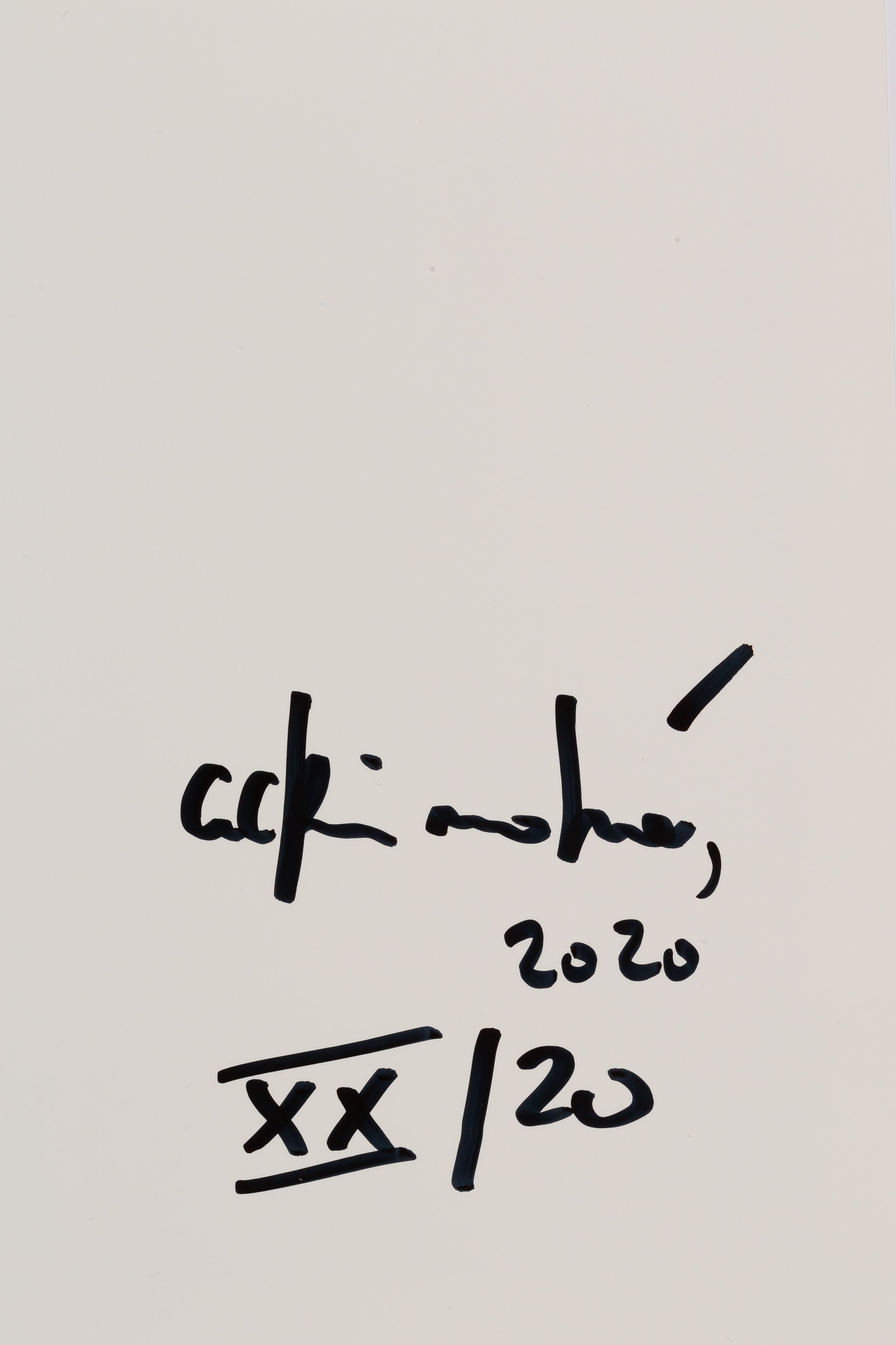 Achim Mohné - Kletterhortensie (Hydrangea petiolaris), 2018/20