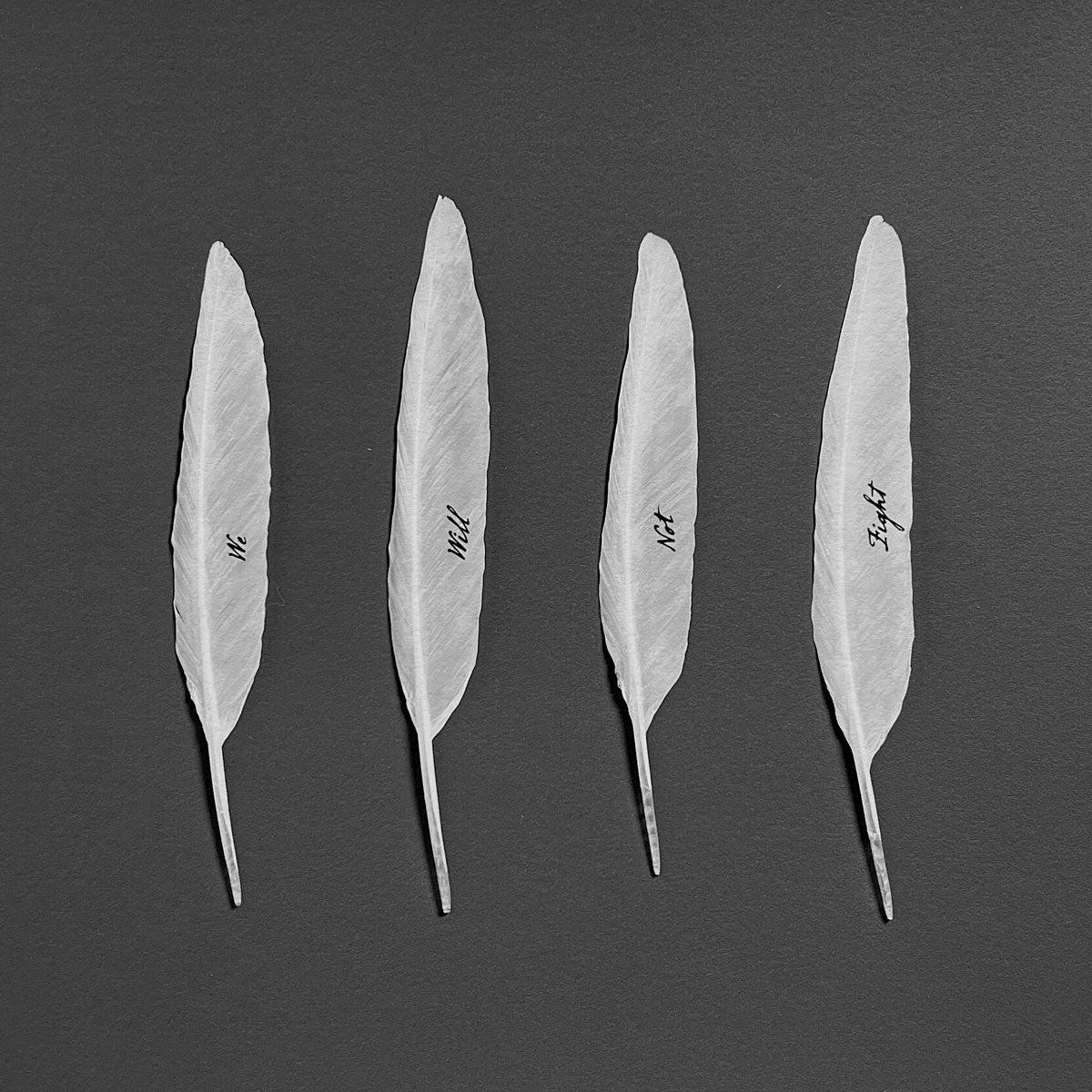 Gabriele Rothemann, We will not fight written on 4 feathers