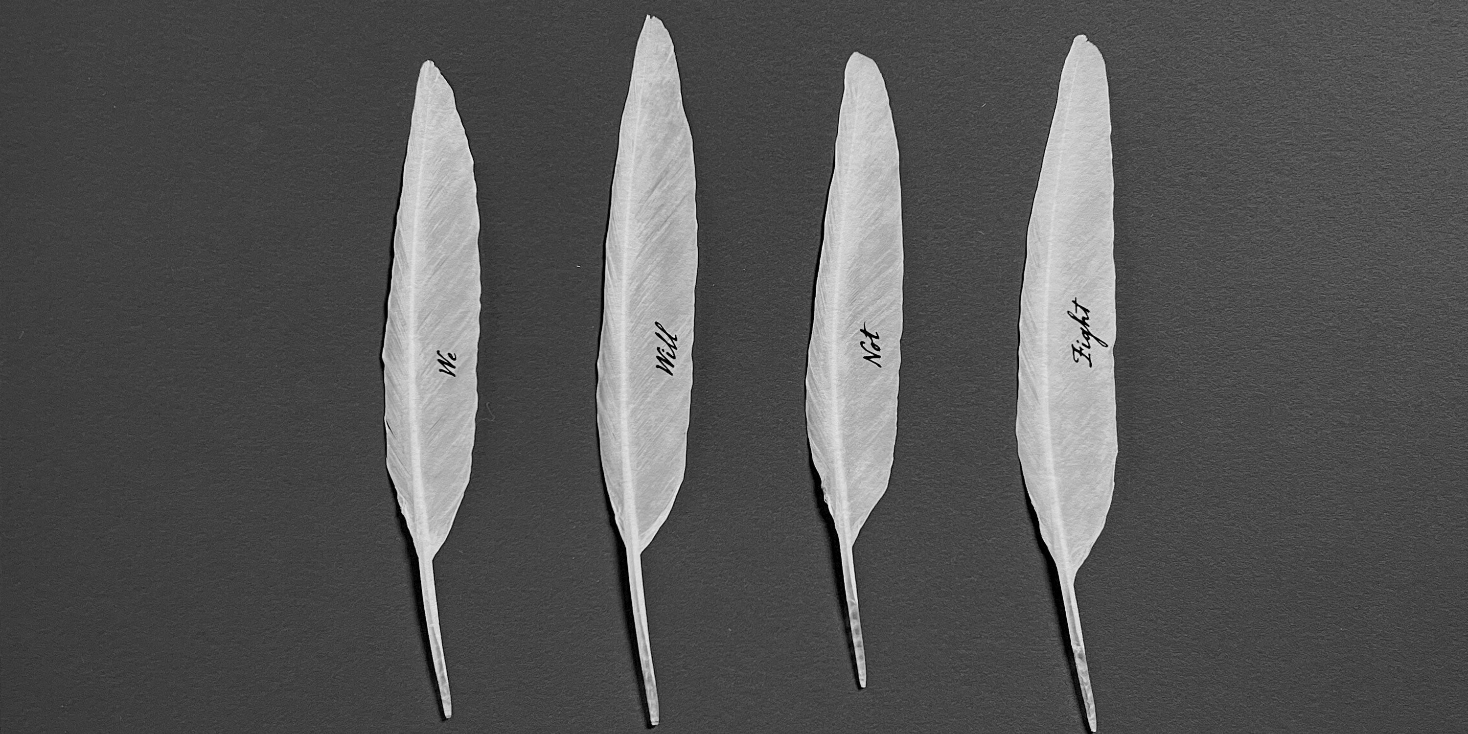 Gabriele Rothemann, We will not fight written on 4 feathers