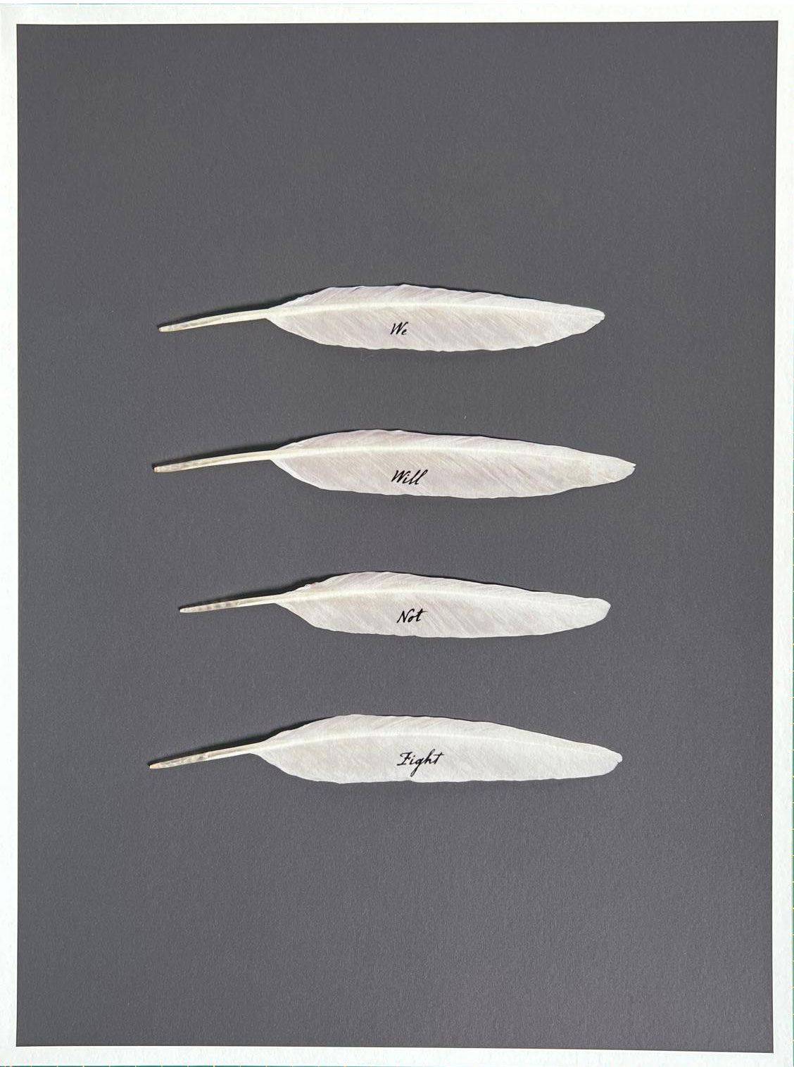 Gabriele Rothemann - We Will Not Fight, 2023/2025