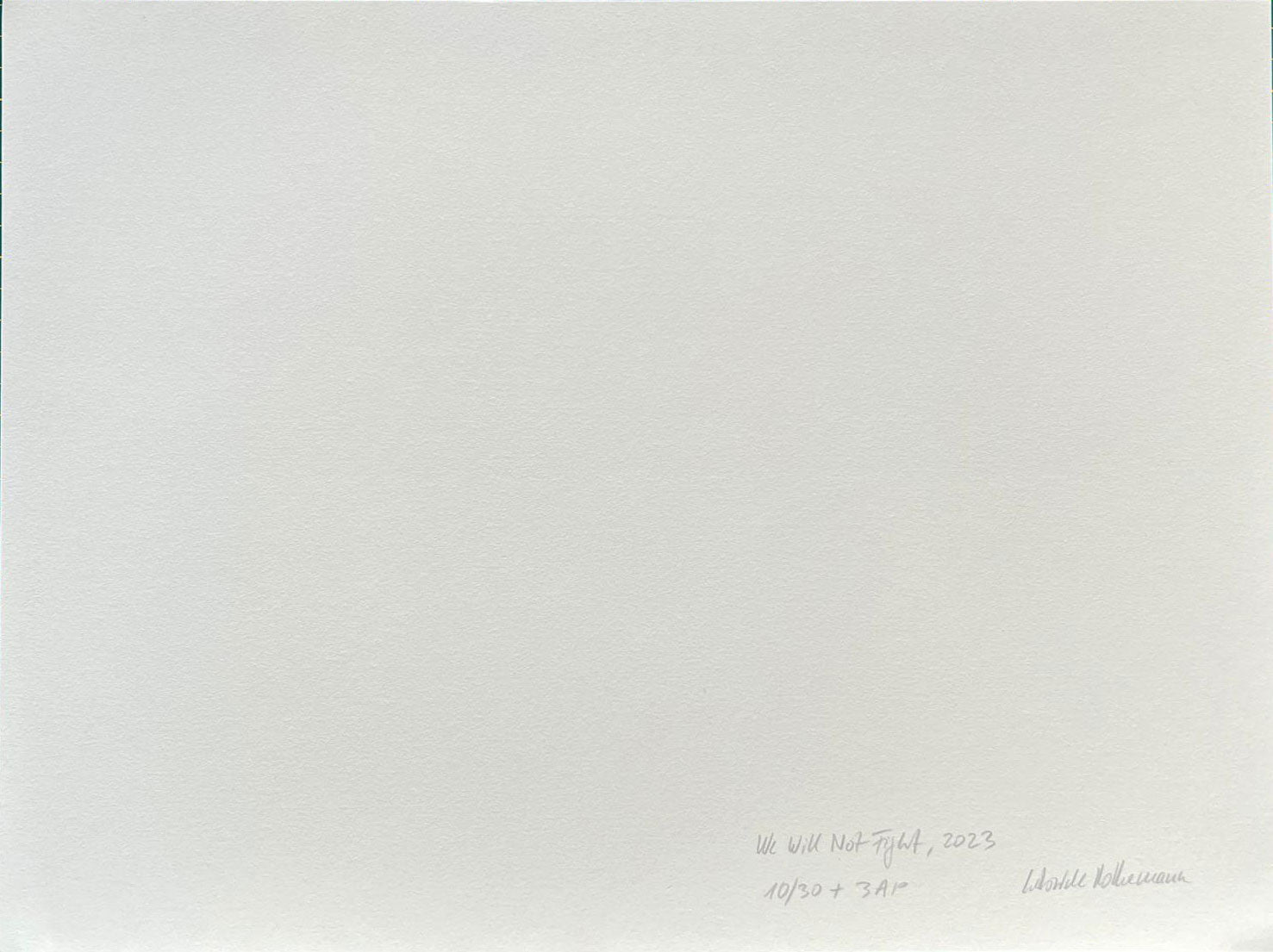 Gabriele Rothemann - We Will Not Fight, 2023/2025