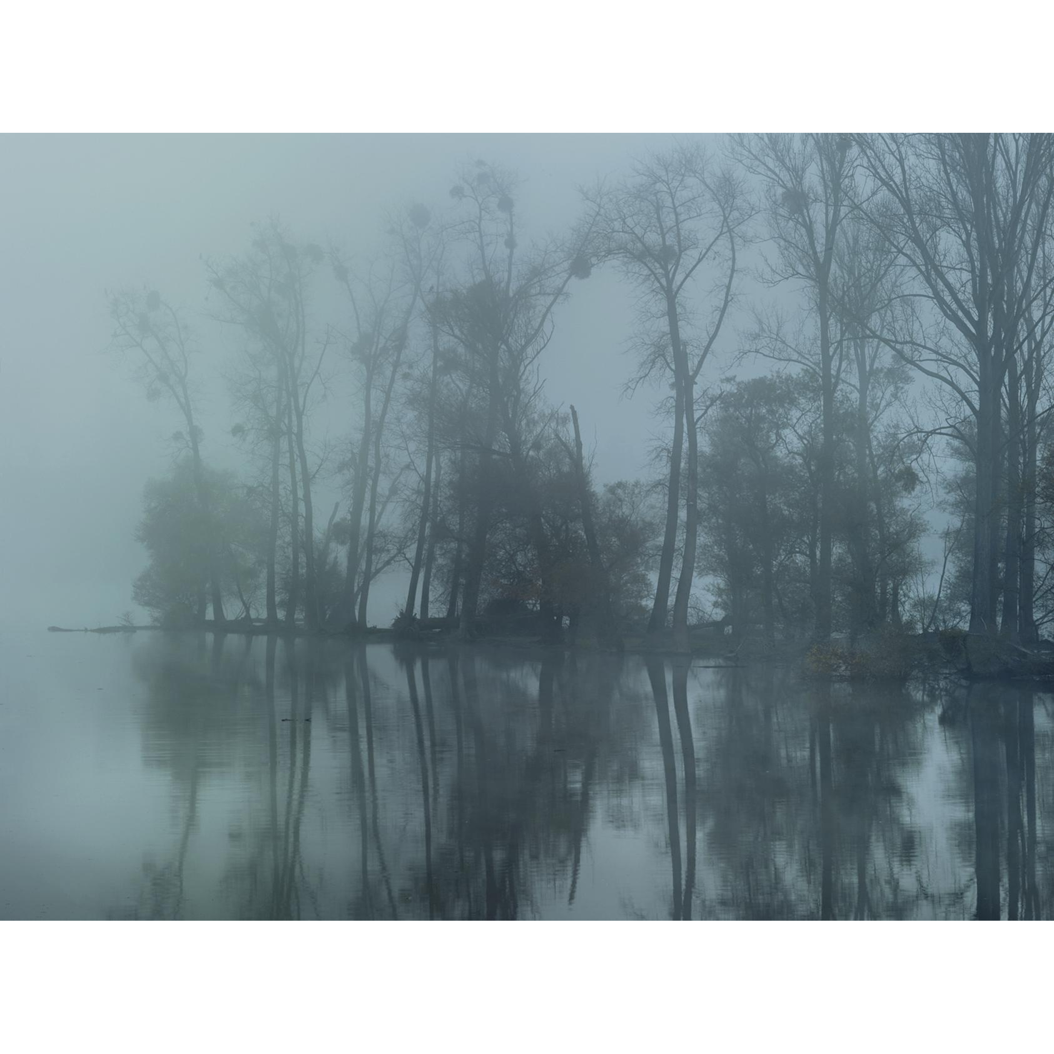 Michael Lange - R 8953, 2014