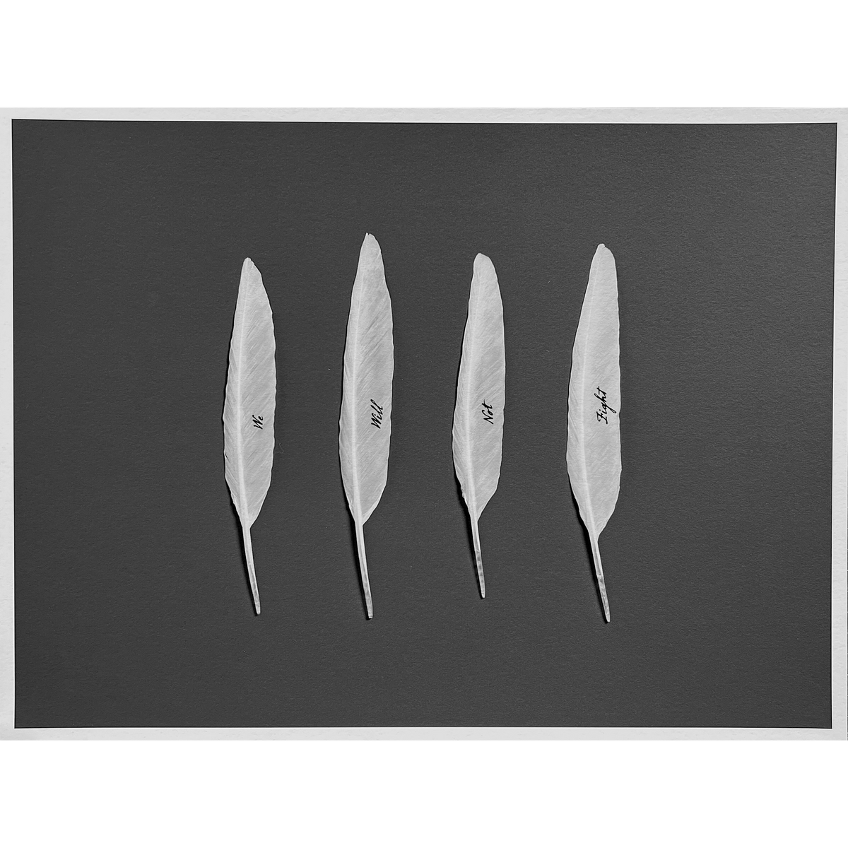 Gabriele Rothemann - We Will Not Fight, 2023/2025