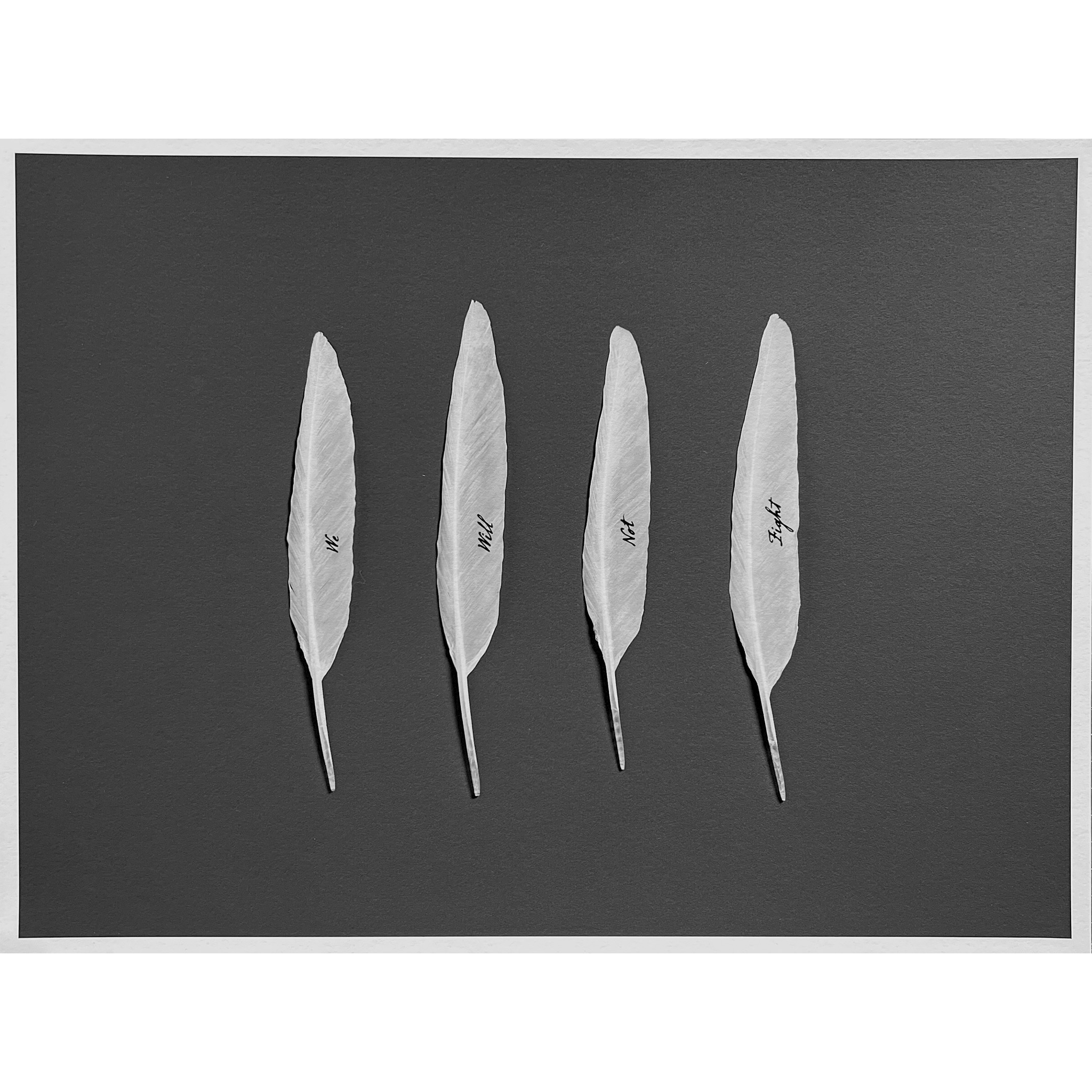 Gabriele Rothemann - We Will Not Fight, 2023/2025