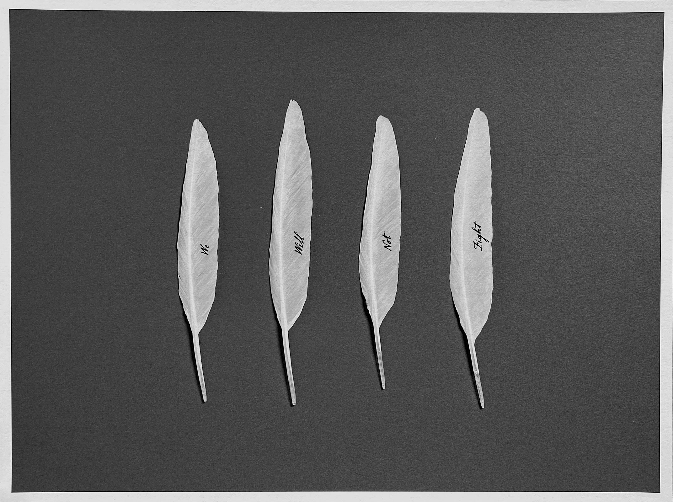 Gabriele Rothemann - We Will Not Fight, 2023/2025