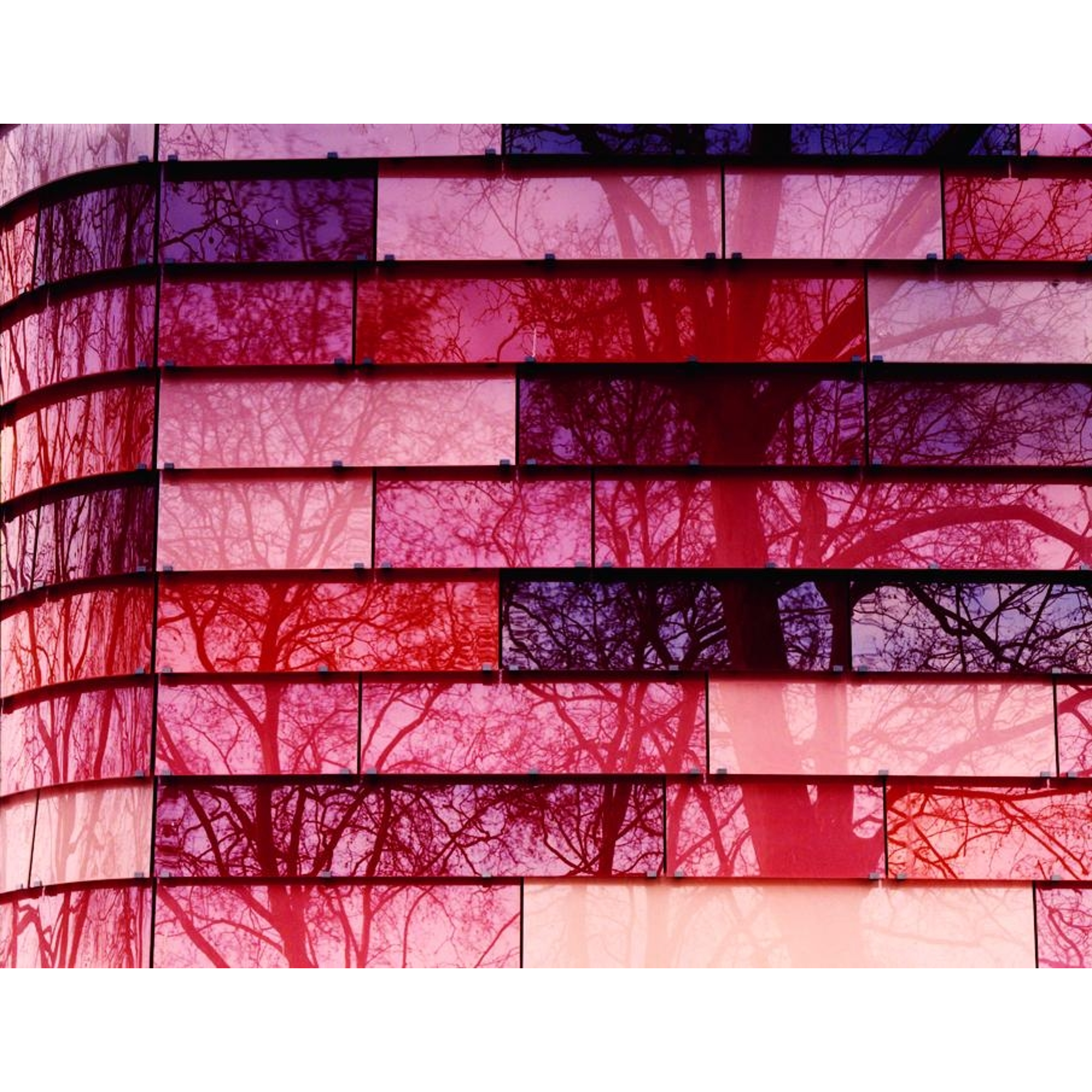 Ola Kolehmainen - See What You See (No.2)