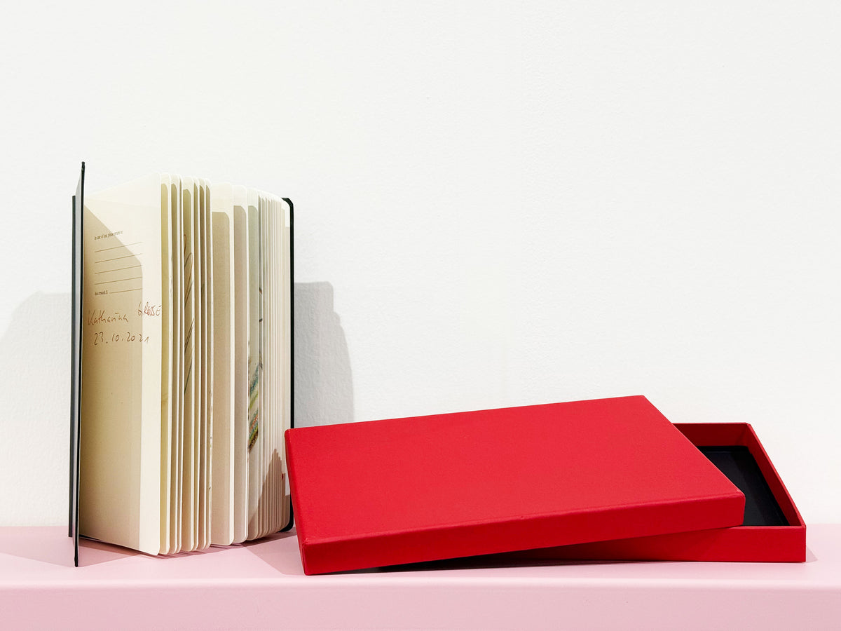 Katharina Grosse - Untitled, 2025