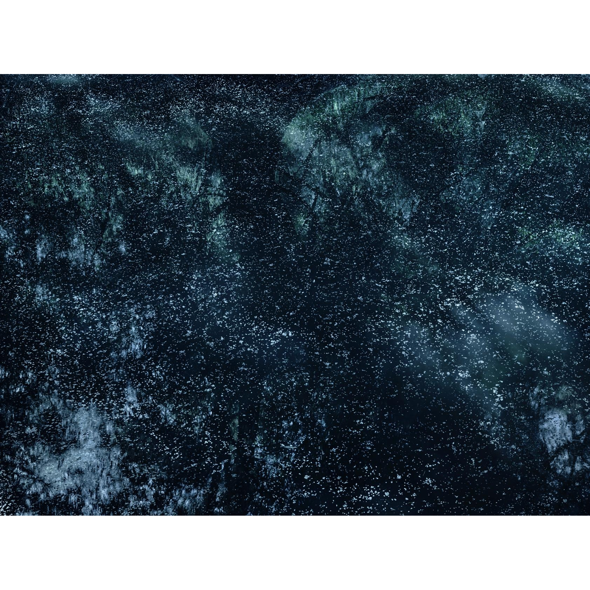 Michael Lange - R 0825, 2012