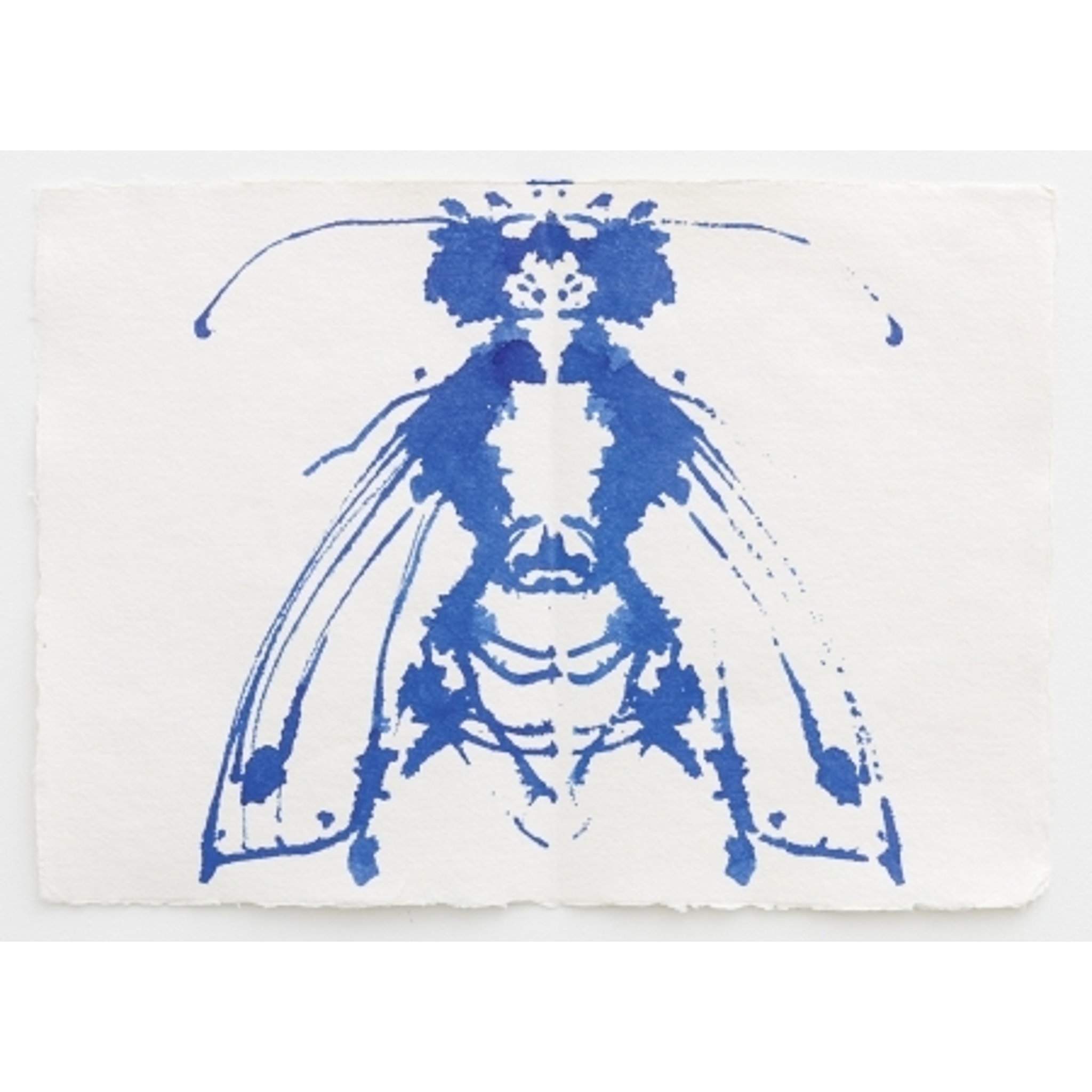 Joan Jonas - Blue Bee, 2015